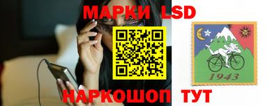 гашик Сланцы