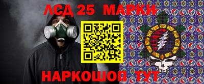 гашик Сланцы