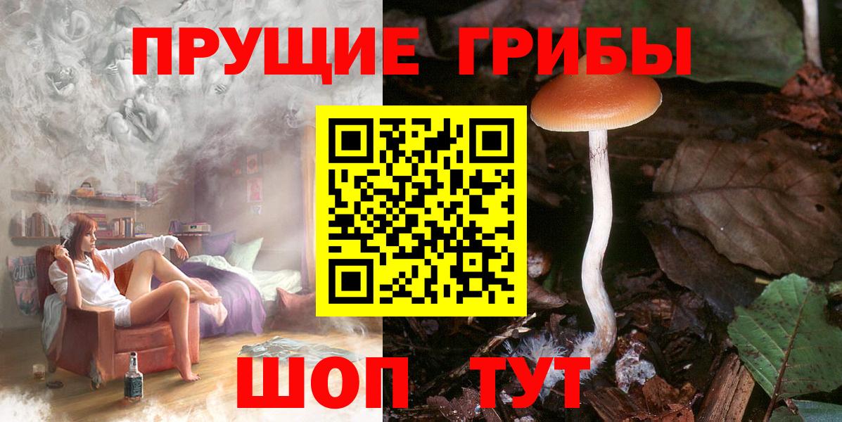 Галлюциногенные грибы Cubensis Можга