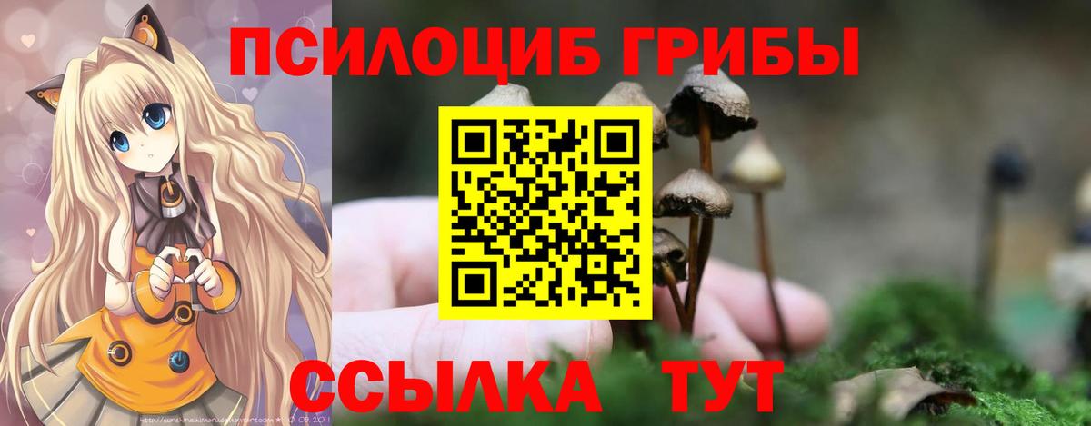 Псилоцибиновые грибы прущие грибы  Вход с VPN  Можга 