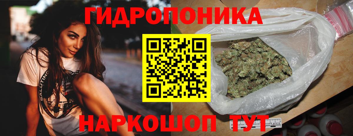 Канабис конопля  Вход с VPN  Можга  МАРИХУАНА ГИДРОПОН 
